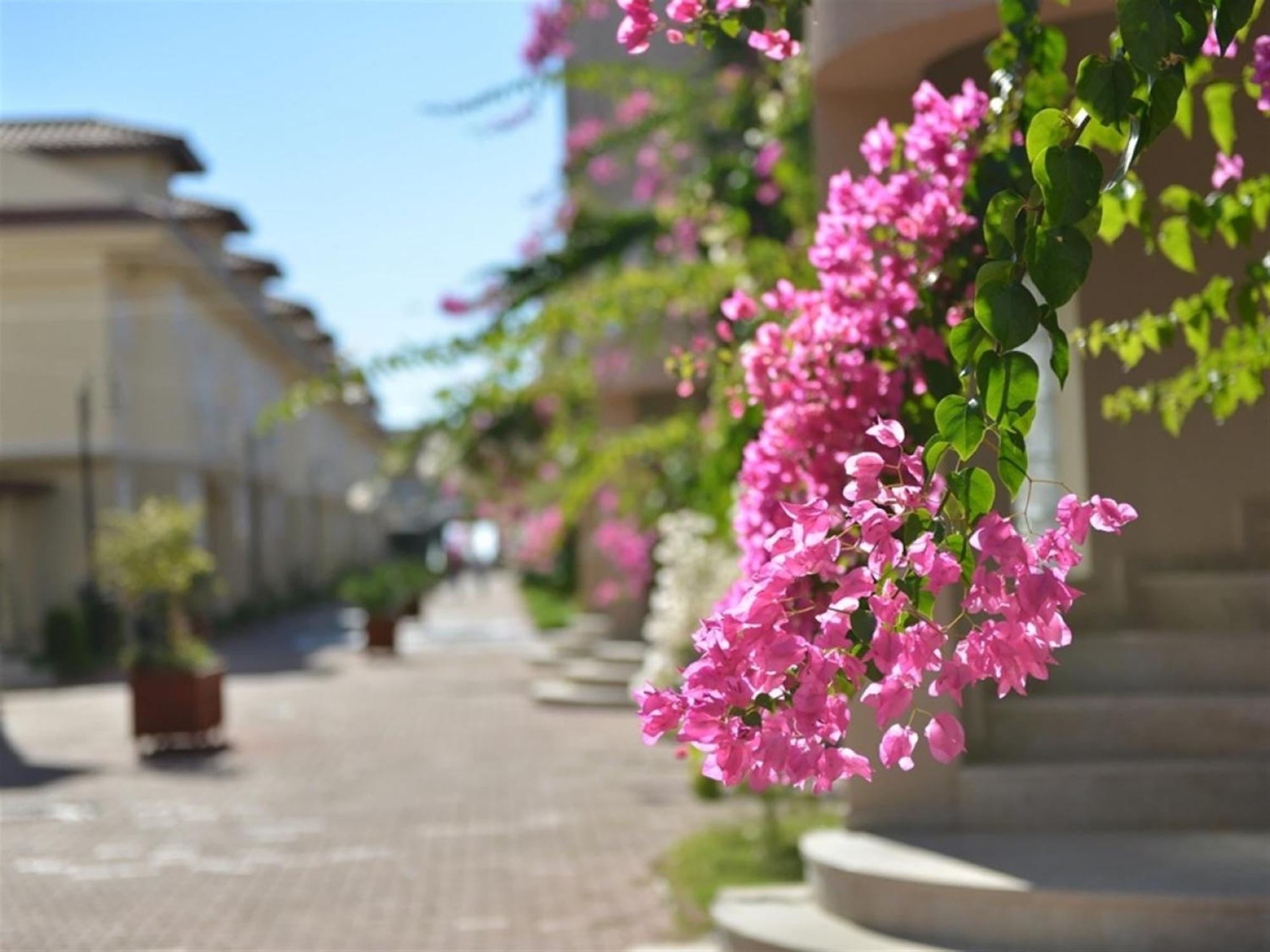 Sunset Beach Club Lebrentals Fethiye Exteriér fotografie